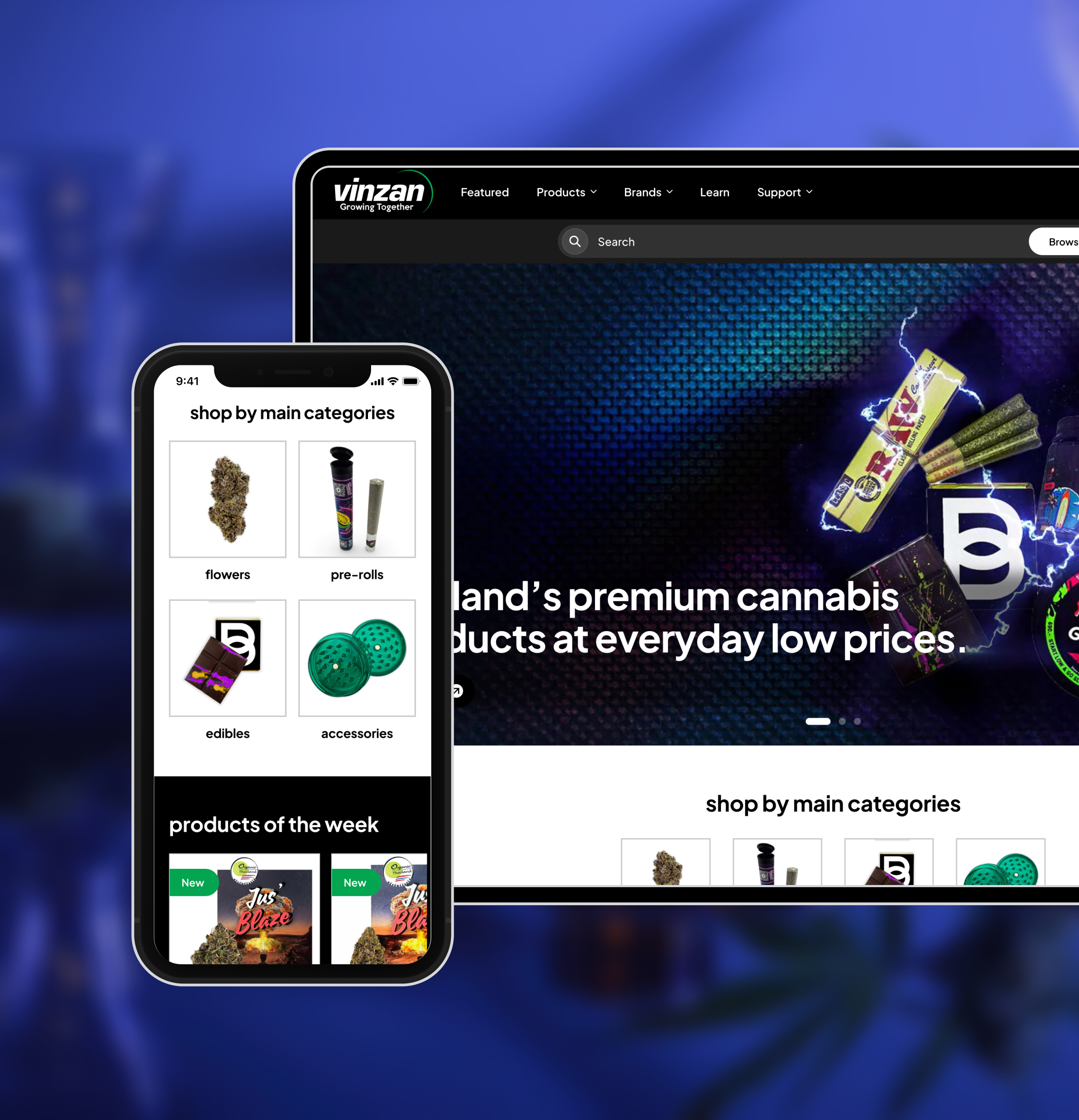 Vinzanplatform